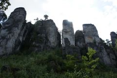DSC02111.JPG