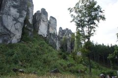 DSC02114.JPG