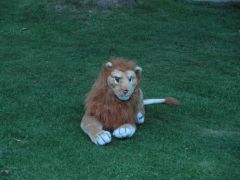 0006-SAM_2572.jpg