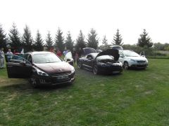 0037-SAM_2603.jpg
