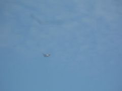 0061-SAM_2629.jpg