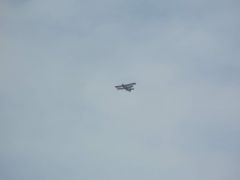0062-SAM_2630.jpg