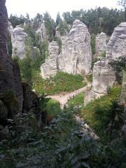 20130824_142823.jpg
