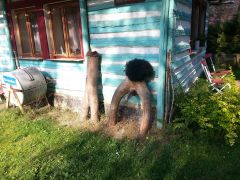 20130824_165527.jpg