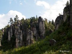 0077-P8248040.jpg