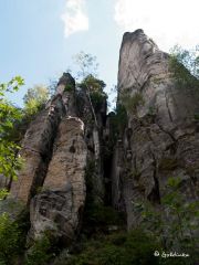 0079-P8248042.jpg