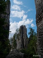 0086-P8248050.jpg