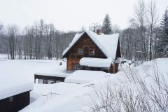 DSC00600.JPG