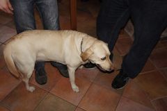 DSC00639.JPG