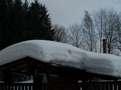 P2182457.jpg