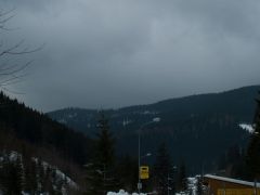 P2182476.jpg