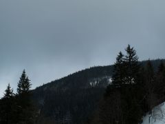 P2182480.jpg