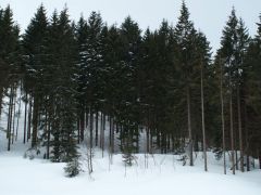 P2182481.jpg