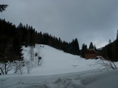 P2182491.jpg
