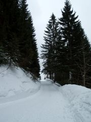 P2182500.jpg