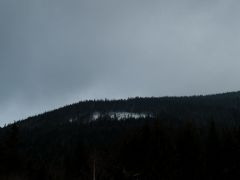 P2182509.jpg