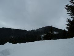 P2182511.jpg
