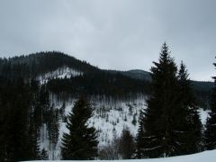 P2182514.jpg