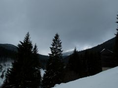 P2182515.jpg