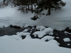 P2182545.jpg