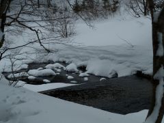 P2182546.jpg