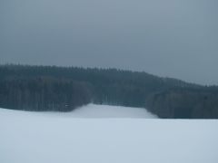 P2182657.jpg