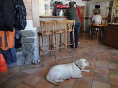 DSC03822.JPG