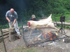 IMG_3786.JPG