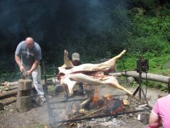 IMG_3787.JPG