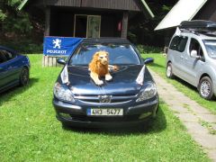 IMG_3815.JPG
