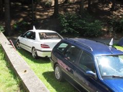 IMG_3826.JPG