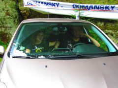 IMG_5130.JPG