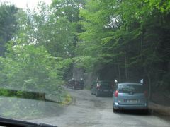 IMG_5138.JPG