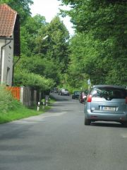 IMG_5146.JPG