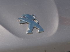 IMG_5176.JPG