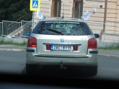 IMG_5187.JPG