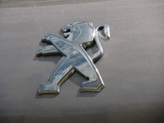IMG_5197.JPG