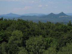 IMG_5237.JPG