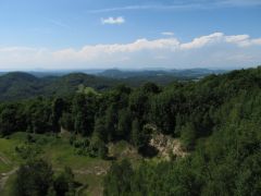 IMG_5242.JPG