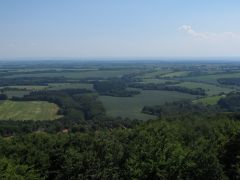 IMG_5245.JPG
