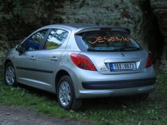 IMG_5295.JPG