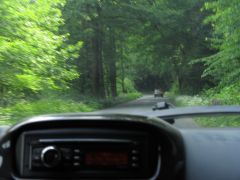 IMG_5311.JPG