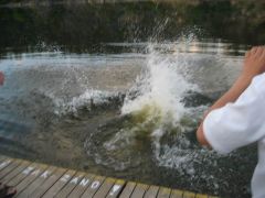 slapy_2003_cabrio_006.jpg