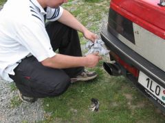 slapy_2003_masinka_006.jpg