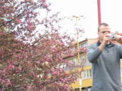 slapy_2003_masinka_146.jpg