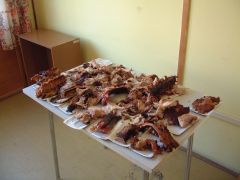 rozkos_2003_master_tom_041.jpg