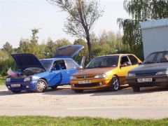 rozkos_2003_vector_007.jpg