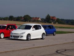 rozkos_2003_vector_042.jpg