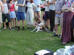 sebetov_2004_masinka_004.jpg