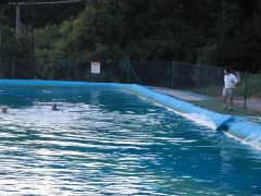 sebetov_2004_masinka_088.jpg